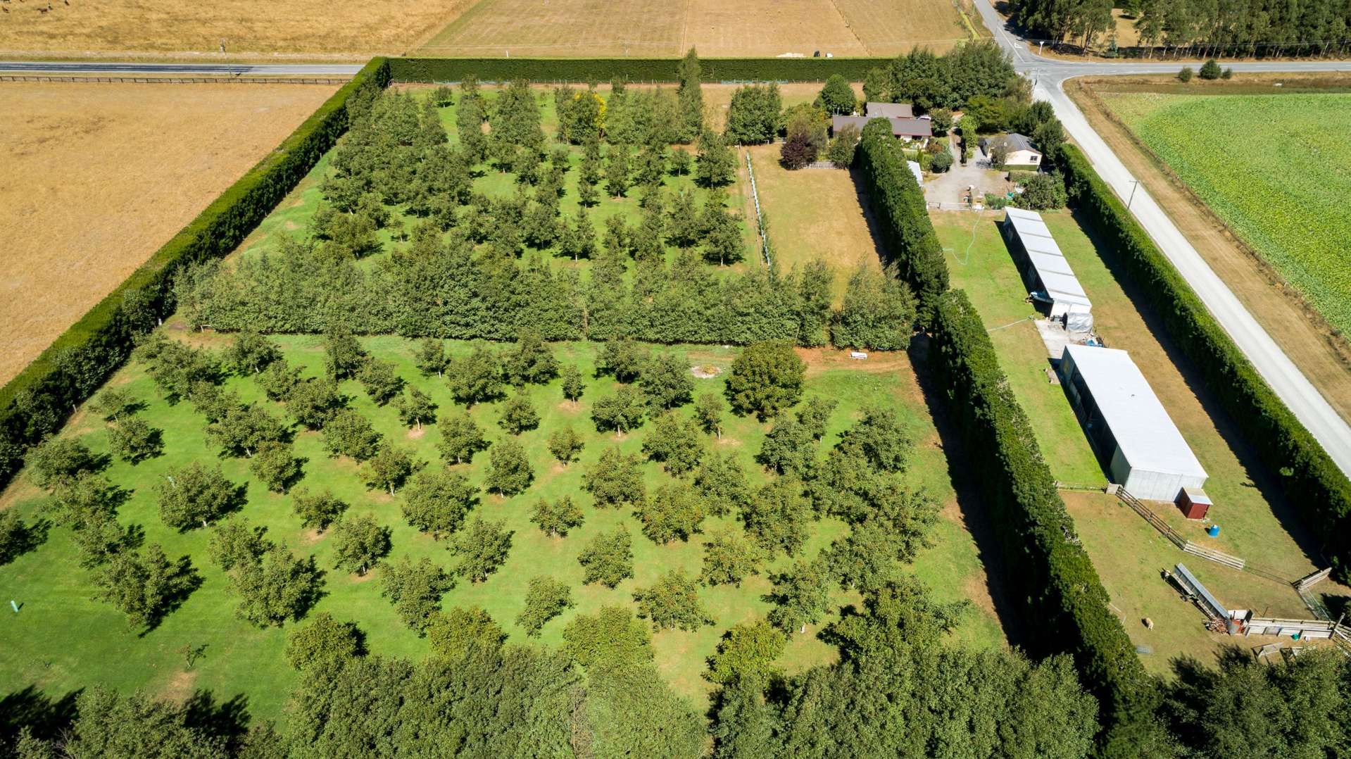 556 Steffens Road Oxford_0