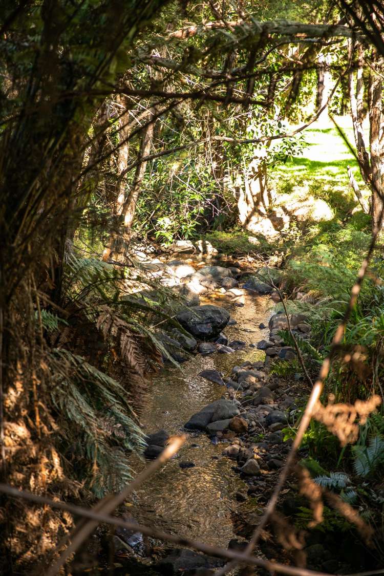 449 Kauaeranga Valley Rd Thames_28