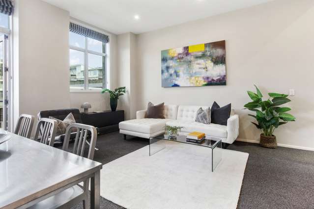 6/3 Holland Street Te Aro_1