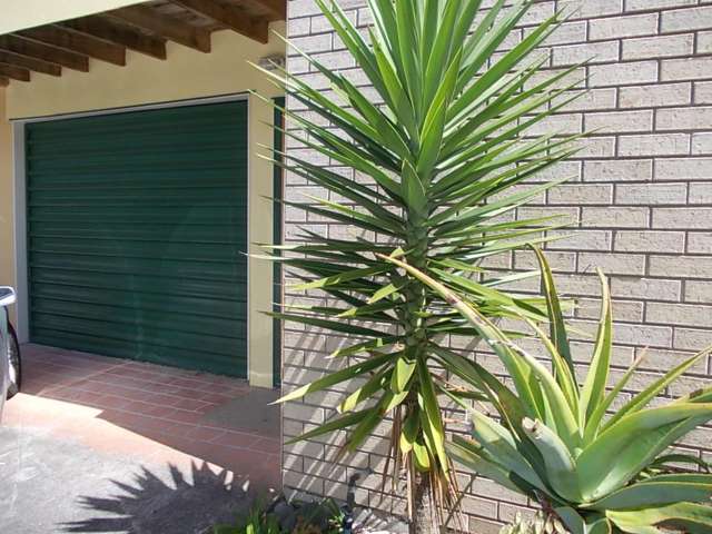 7/59 Astley Avenue New Lynn_1