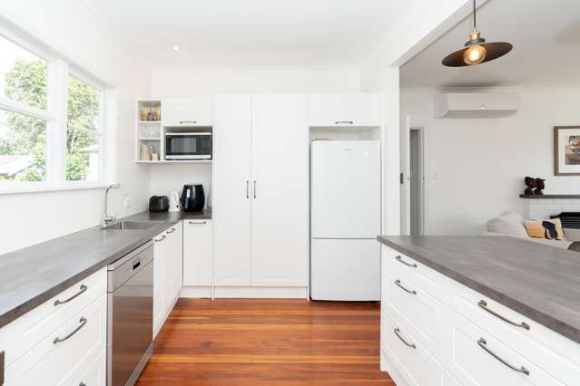 2a Bains Avenue Hamilton East_2