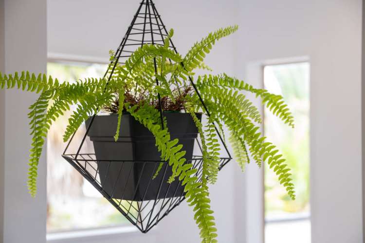 6a St James Avenue Helensville_12