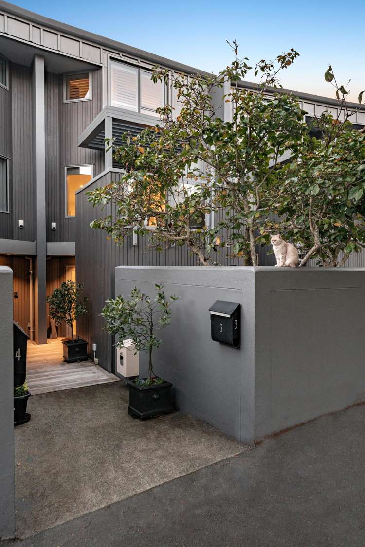 3/12 Balfour Road Parnell_21