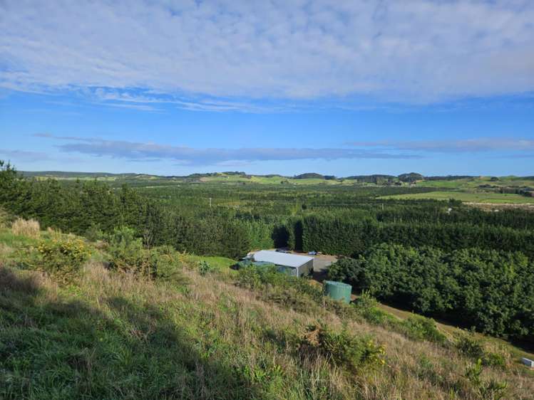 Heath Road Waiharara_10