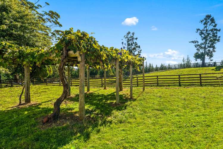 482 Ridge Road Paengaroa_25