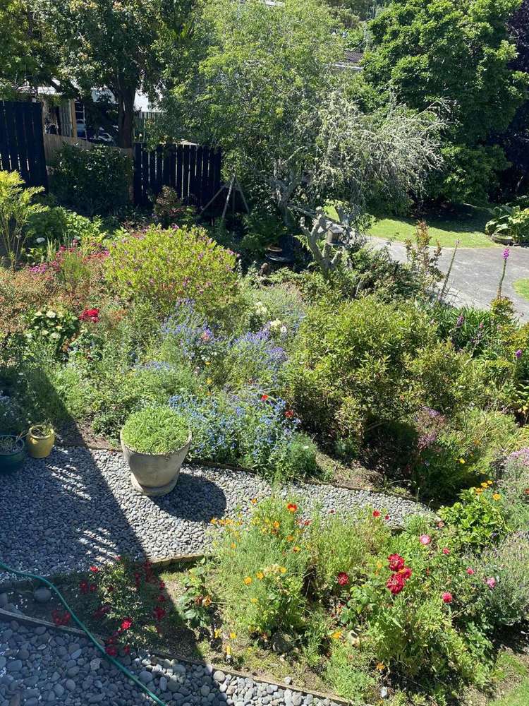 402A Sandes Street Thames_7