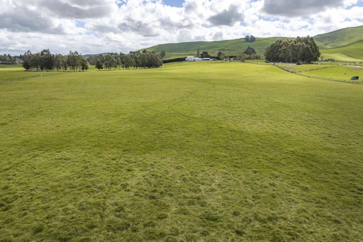 1020 Te Aute Trust Road_2