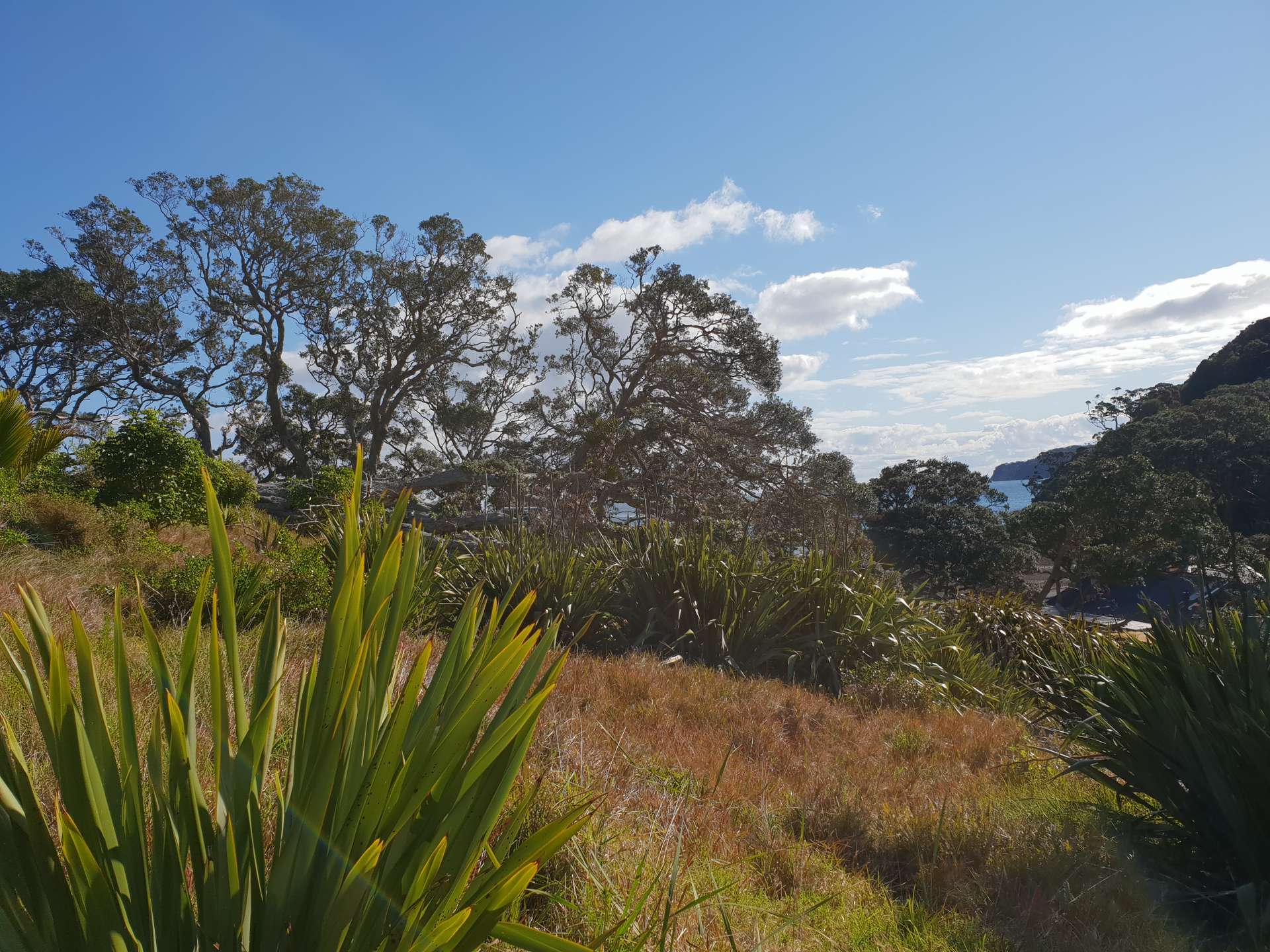 12 Mulberry Grove Road Great Barrier Island (Aotea Island)_0