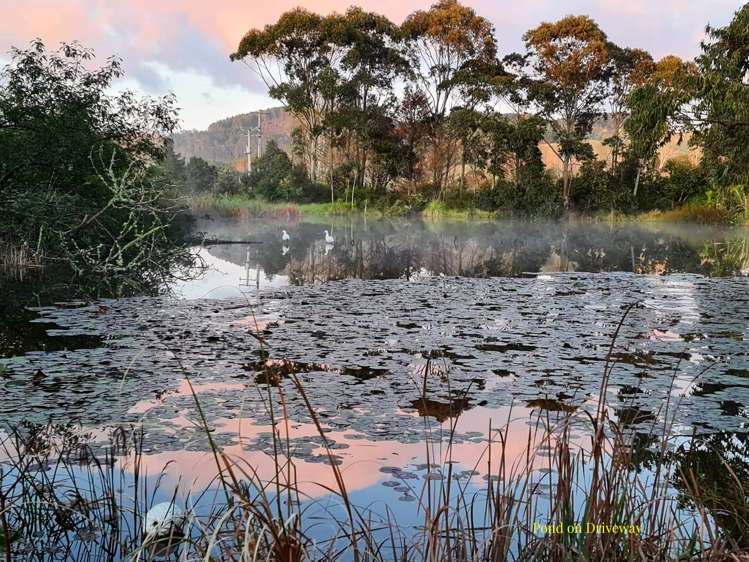 880 South Head Road South Head_11