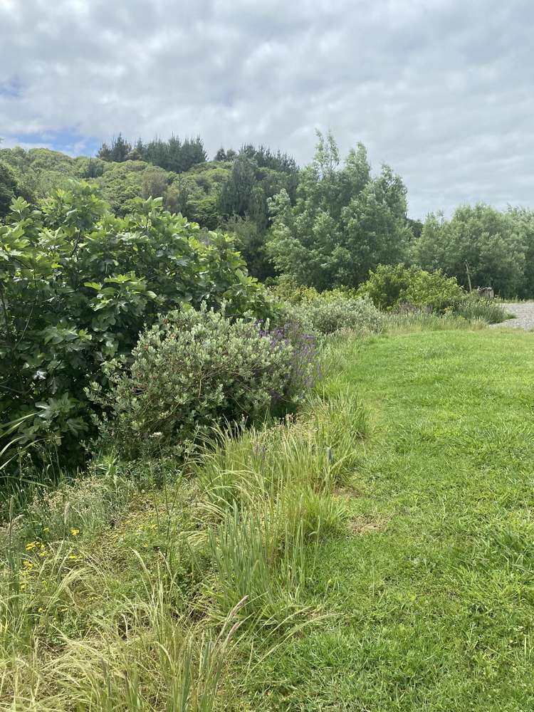 167 Wilson Road Kakaramea_19