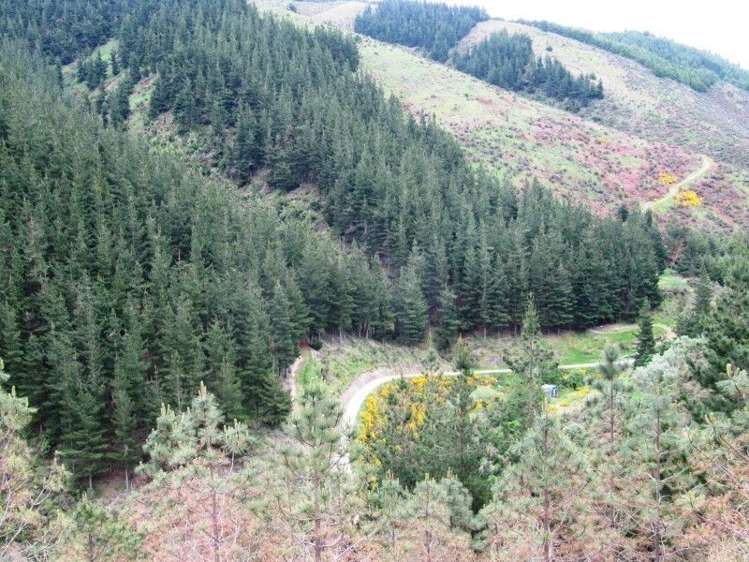 2213 Te Moana Road Geraldine_9