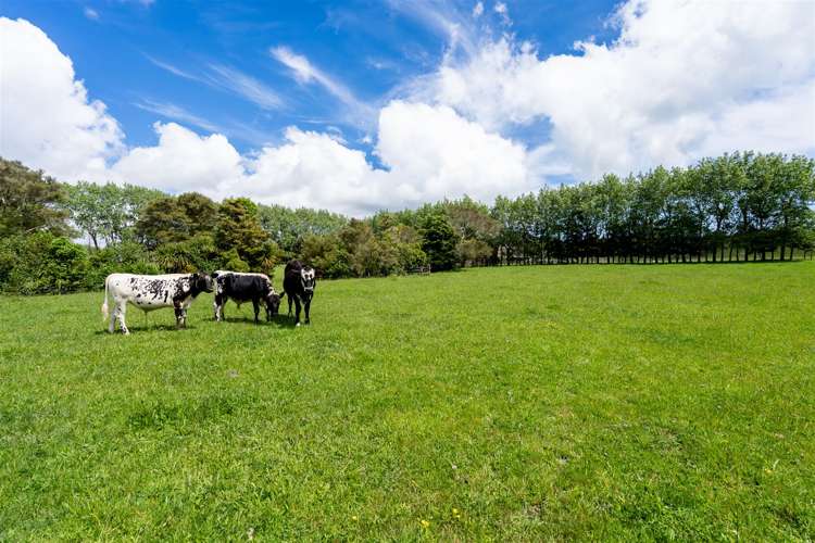 1021 Old North Road Waimauku_35