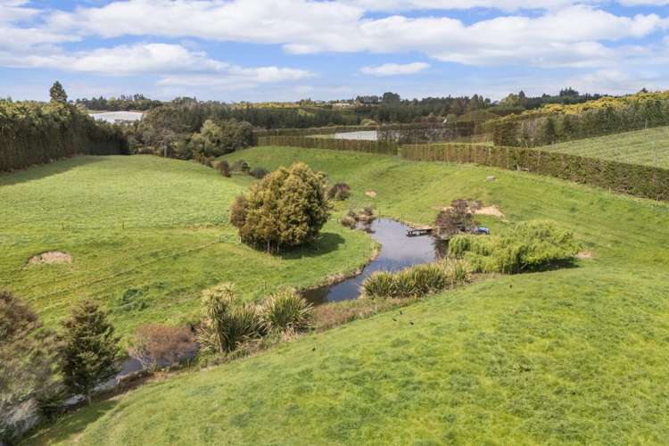 22B Noron Place Katikati_5