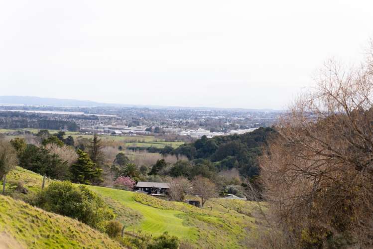 528 Ponga Road Opaheke_68