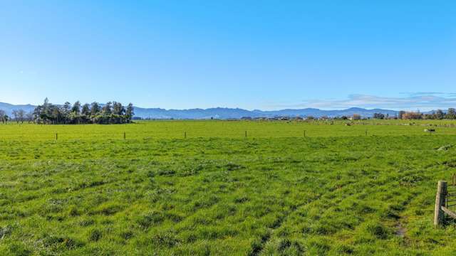 55 Opua Road Turua_2