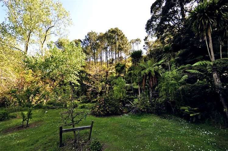 853 Purangi Road Cooks Beach_22