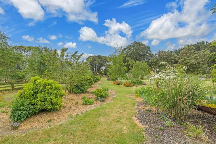 63 Bergin Road Foxton_28