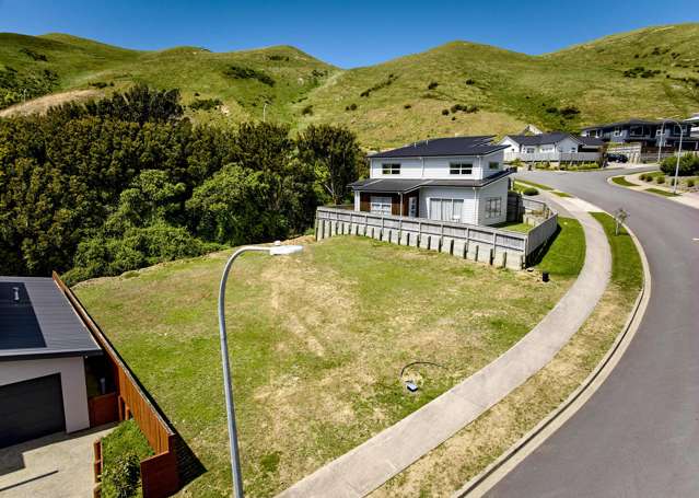 13 Crompton Avenue Churton Park_1