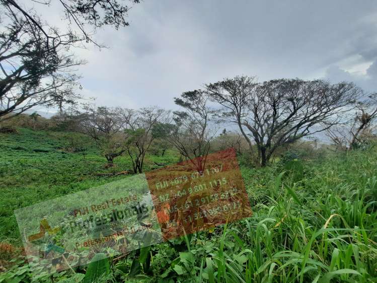 Address withheld Taveuni_10