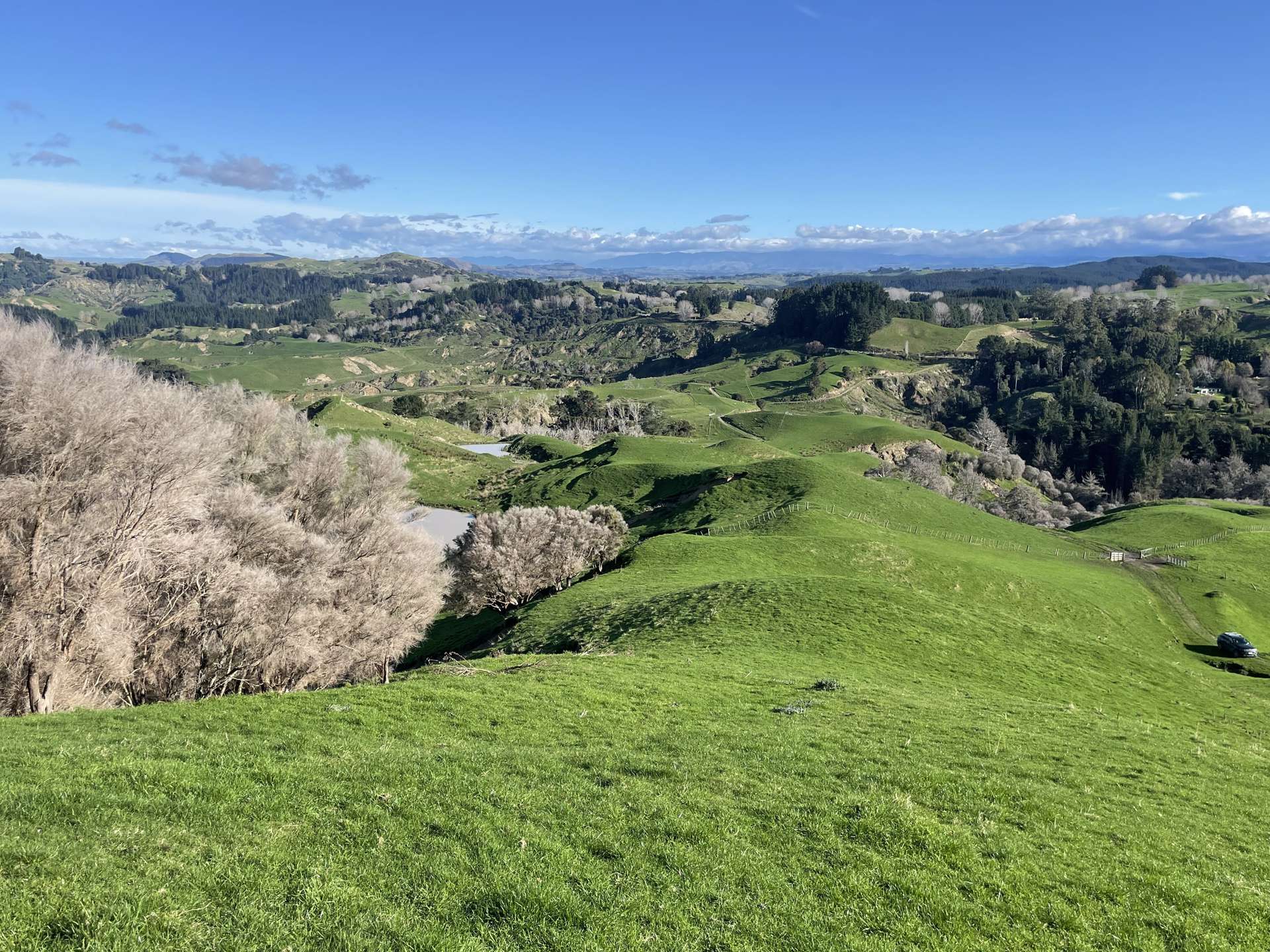 333 Glengarry Road Rissington_0