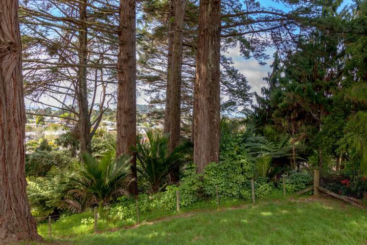 111a Chevron Crescent Whangamata_7