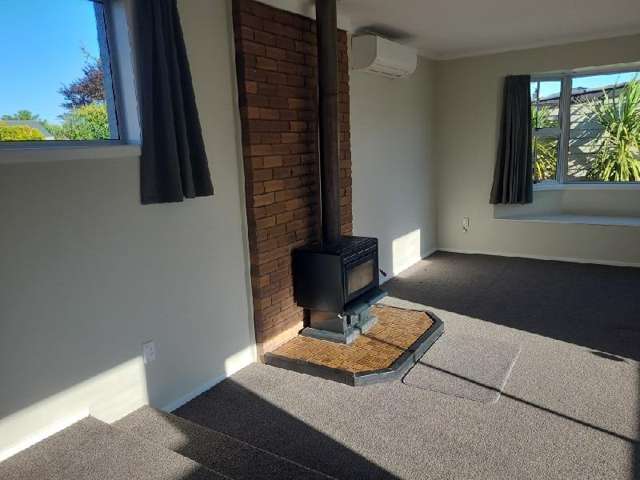 576 Herbert Street Waverley_4