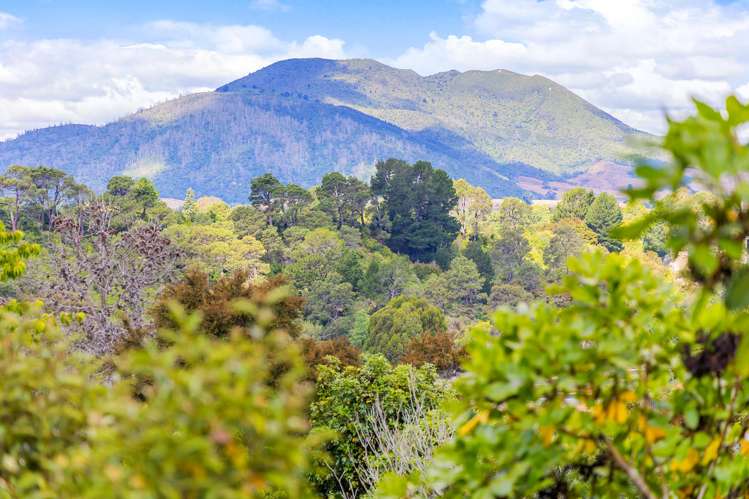 2 Larchwood Grove Rangatira Park_23