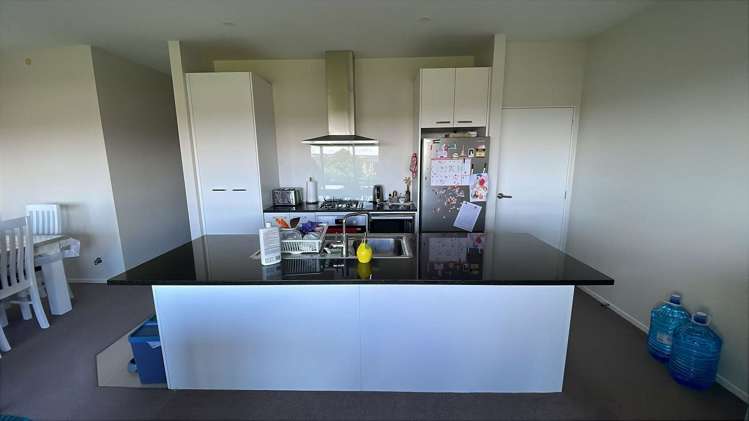 31 Lemon Tree Lane Flat Bush_2