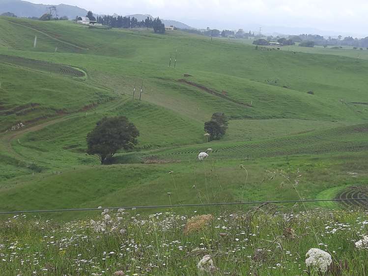 35 Grove Access Road Karamu_12