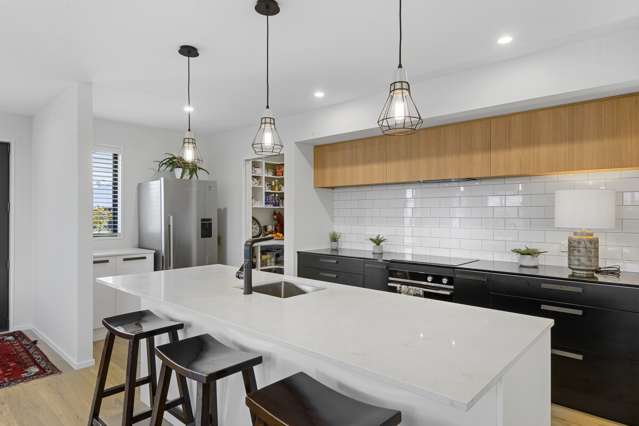 18 Raptor Street Rolleston_3