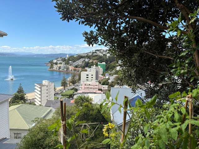 Oriental Bay apartment, next to Oriental lookout