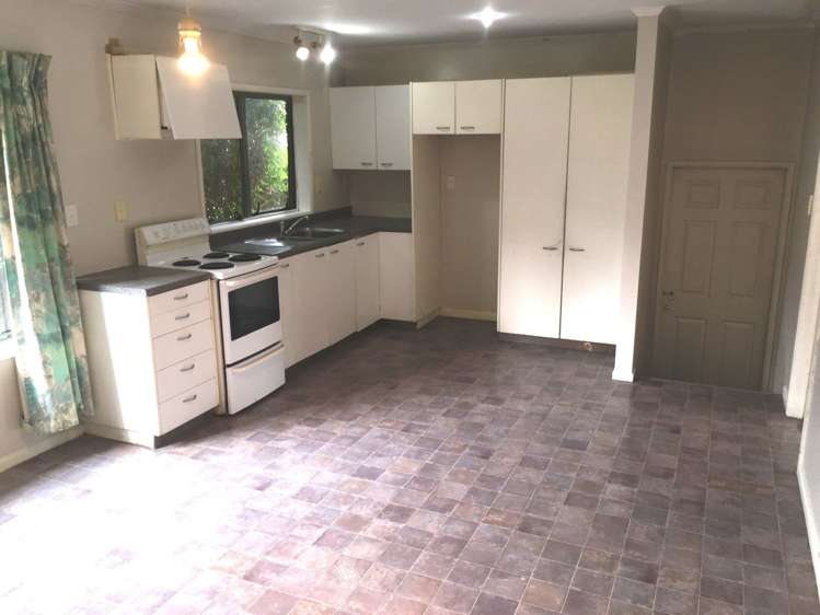 14 Richardson Road Mount Albert_1