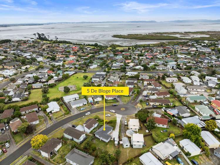 5 De Bloge Place Clendon Park_11