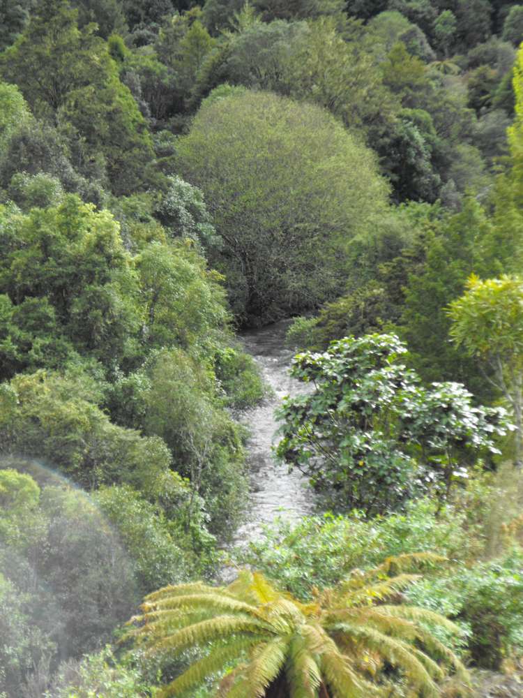 1979 Ongarue Stream Road Waimiha-Ongarue_1