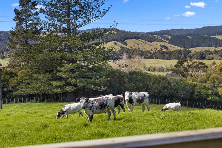 58 Wayby Station Road Wellsford_16