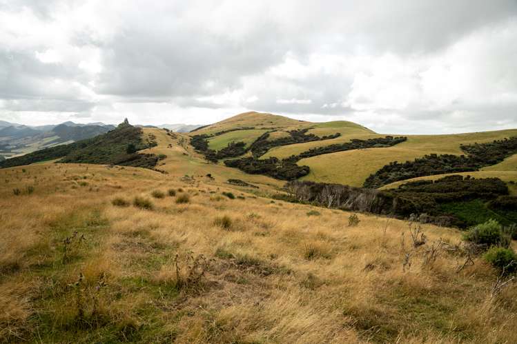 1320 Hunt Road Catlins Surrounds_18