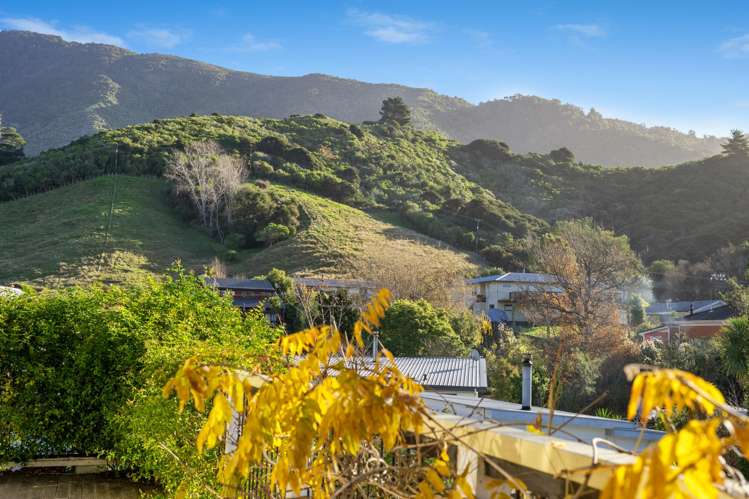 7a Dorset Street Picton_6