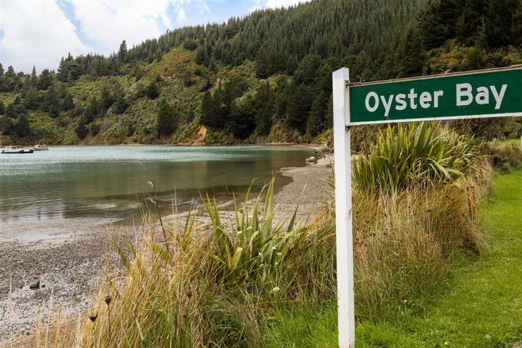 1466 Port Underwood Road Port Underwood_36