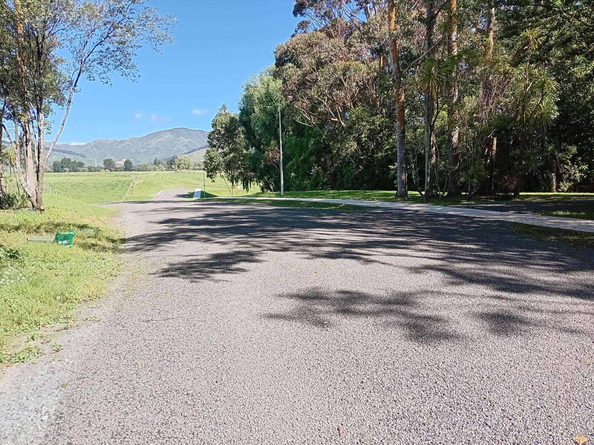 44 Margaret Street Shannon_0