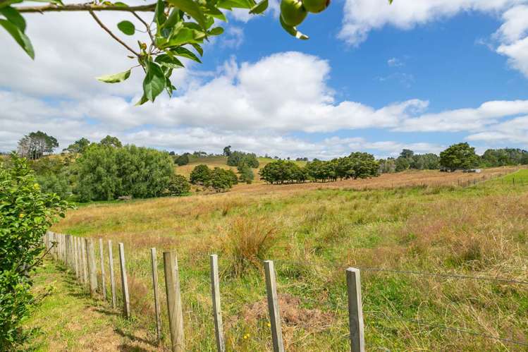 78 Prictor Road Wellsford_17