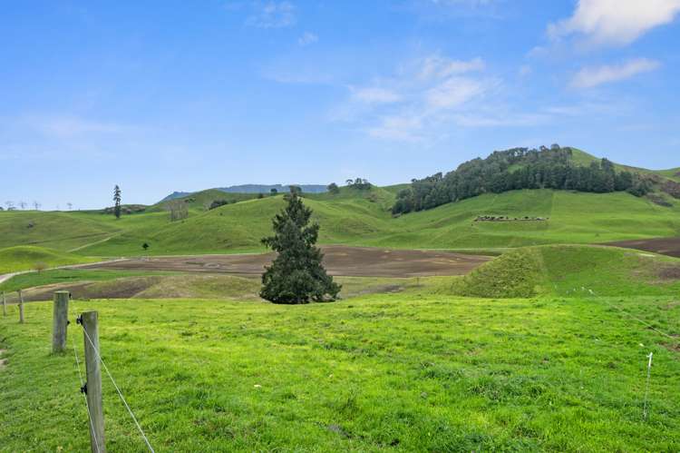 385 Whirinaki Valley Road Ngakuru_15