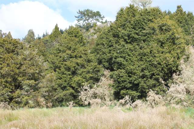 6041 State Highway 12 Ohaeawai_2