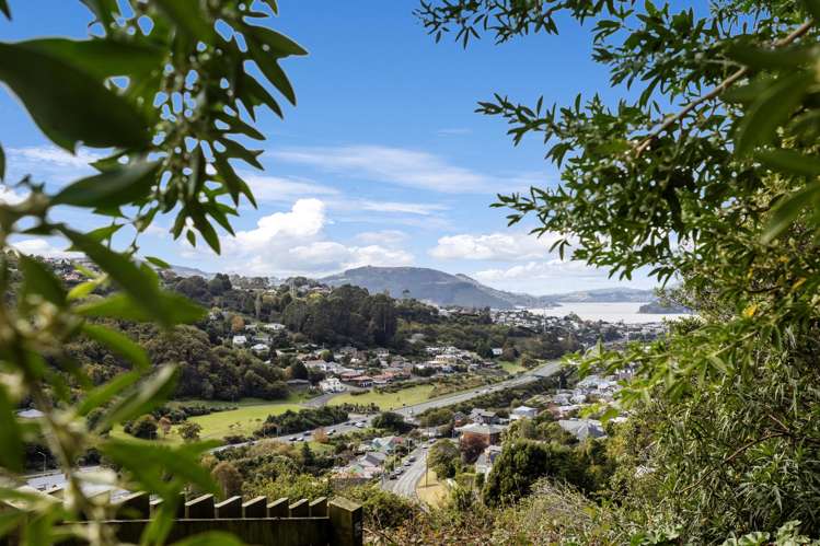 46 Waimea Avenue Calton Hill_21