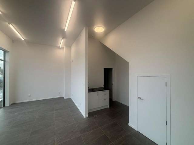 41 Birch Street Hutt Central_4
