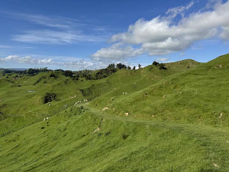 268a Tiriraukawa Road Taihape_15