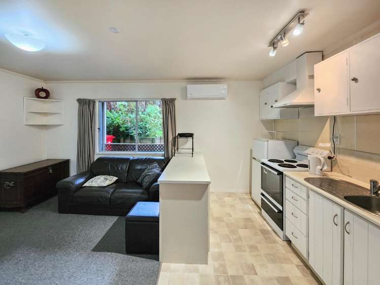 102 Pinehaven Road 1337_1