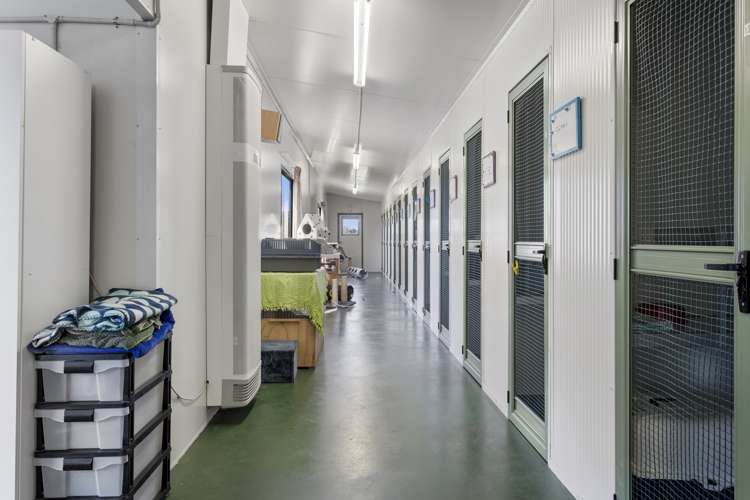 1891 South Eyre Road West Eyreton_18