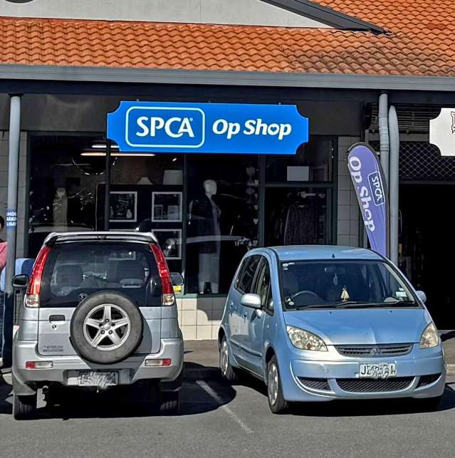 25/47 Whatawhata Road Dinsdale_1