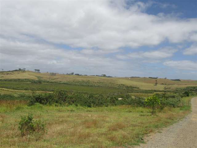 93 Te Kowhai Point Road Kerikeri_3