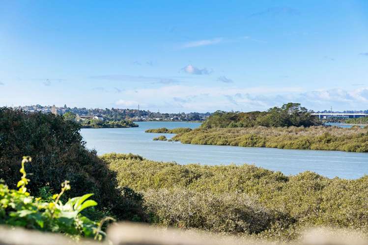 37B Mataroa Road Mount Wellington_12